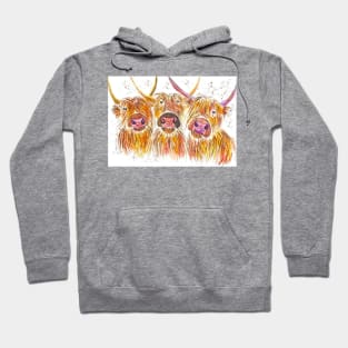 Three Highland Cows Hoodie